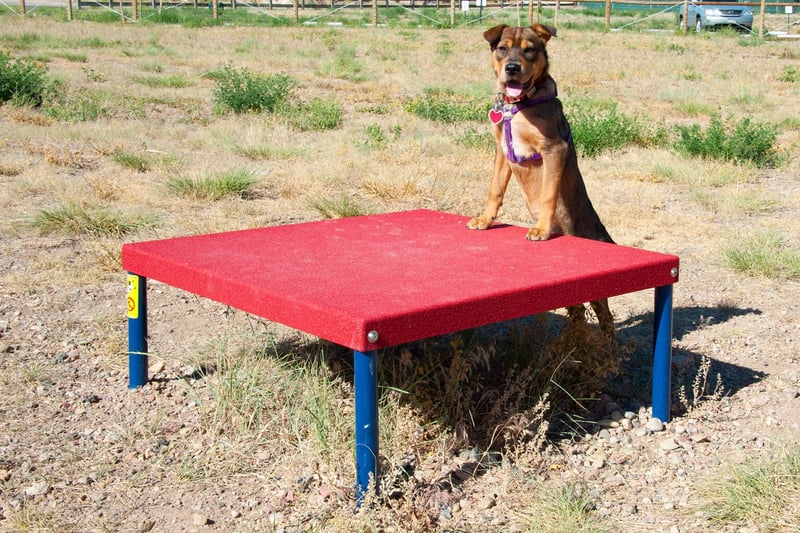 Little Dry Creek Dog Park preview 5